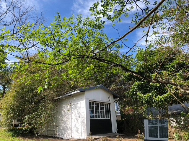 2 Bedroom Property for Sale in Knysna Central Western Cape